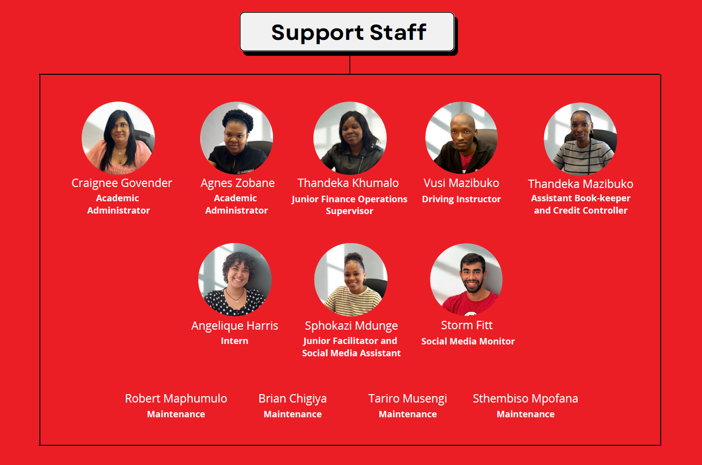 Management Team3